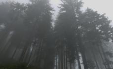 DSC09990