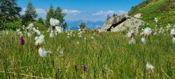 Au dessus du lac Claret Isère 06/07/25