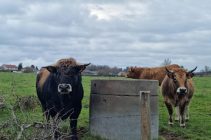 d555ebd9-d1be-49e3-ae50-b55b94eb9938