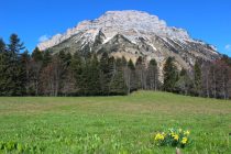 Chamechaude Col de Porte 5/07/26