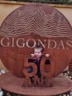 Dentelles de Montmirail Gigondas 23/03/25