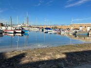 48e19443-a222-4ddd-8b46-7a8476318734