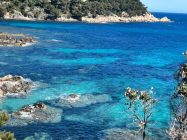 54e626f2-cb97-4109-b6f5-1e409d5176fe