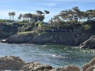 9d655e56-2fcb-4c96-8bd0-792c0020c8e4