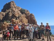 b78620b4-bd23-498c-94b1-39a74565187d