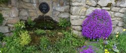 DSC03306