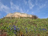 7cd3aeb8-9063-4889-8644-8790e4299aae