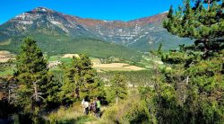 Montagne de Desse Drôme 12/10/25