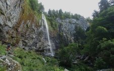 DSC03534