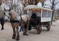 9876367b-7664-40e3-af62-e41e9d0f1e0e