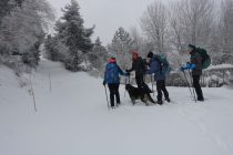 Station Signaraux Isère 11/01/26