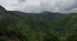 DSC03377